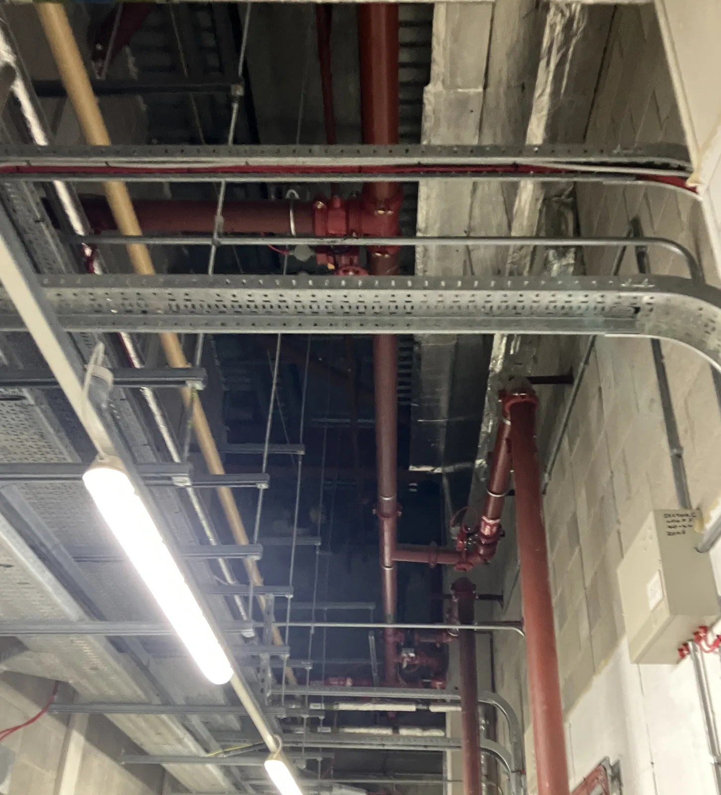 Sprinkler pipework routed alongside cable tray and other services in a ceiling void